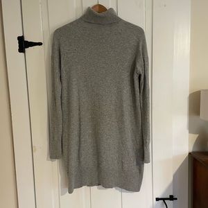 Everlane Cashmere Turtleneck Dress